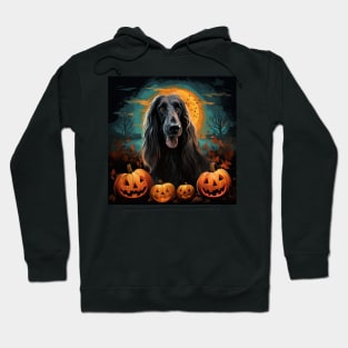 Afghan Hound Halloween Hoodie